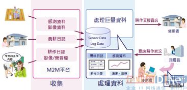 大数据处理技术的实战应用与价值体现
